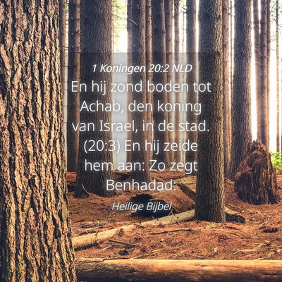 Picture 04 - 1 Koningen 20:2 NLD - En hij zond boden tot Achab, den koning van - Bible Verse Picture