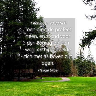 Picture 04 - 1 Koningen 20:38 NLD - Toen ging de profeet heen, en stond voor den - Bible Verse Picture
