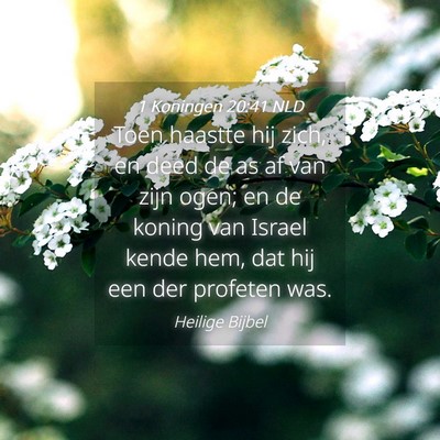 Picture 04 - 1 Koningen 20:41 NLD - Toen haastte hij zich, en deed de as af van zijn - Bible Verse Picture
