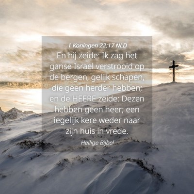 Picture 04 - 1 Koningen 22:17 NLD - En hij zeide: Ik zag het ganse Israel verstrooid - Bible Verse Picture