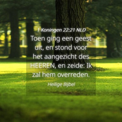 Picture 04 - 1 Koningen 22:21 NLD - Toen ging een geest uit, en stond voor het - Bible Verse Picture