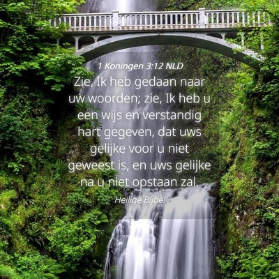 Picture 04 - 1 Koningen 3:12 NLD - Zie, Ik heb gedaan naar uw woorden; zie, Ik heb u - Bible Verse Picture