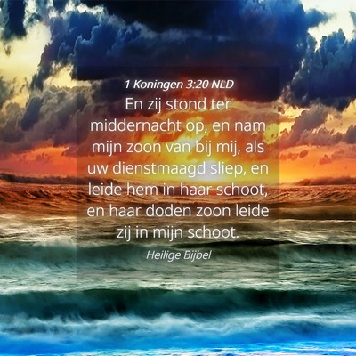 Picture 04 - 1 Koningen 3:20 NLD - En zij stond ter middernacht op, en nam mijn zoon - Bible Verse Picture