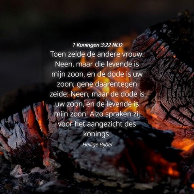 Picture 04 - 1 Koningen 3:22 NLD - Toen zeide de andere vrouw: Neen, maar die - Bible Verse Picture
