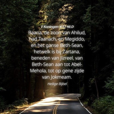 Picture 04 - 1 Koningen 4:12 NLD - Baana, de zoon van Ahilud, had Taanach, en - Bible Verse Picture