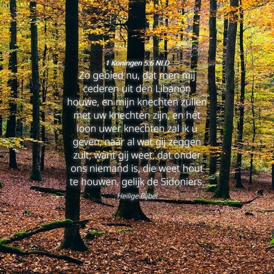 Picture 04 - 1 Koningen 5:6 NLD - Zo gebied nu, dat men mij cederen uit den Libanon - Bible Verse Picture