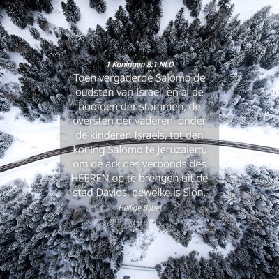 Picture 04 - 1 Koningen 8:1 NLD - Toen vergaderde Salomo de oudsten van Israel, en - Bible Verse Picture