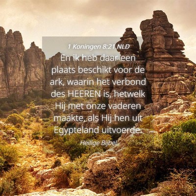 Picture 04 - 1 Koningen 8:21 NLD - En ik heb daar een plaats beschikt voor de ark, - Bible Verse Picture