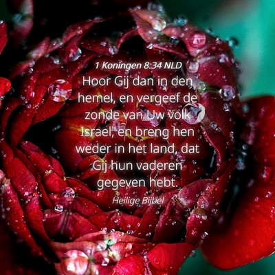 Picture 04 - 1 Koningen 8:34 NLD - Hoor Gij dan in den hemel, en vergeef de zonde - Bible Verse Picture