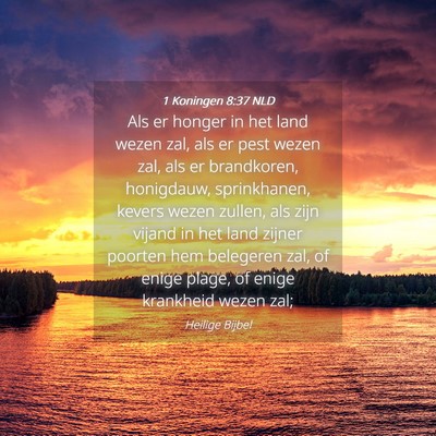 Picture 04 - 1 Koningen 8:37 NLD - Als er honger in het land wezen zal, als er pest - Bible Verse Picture
