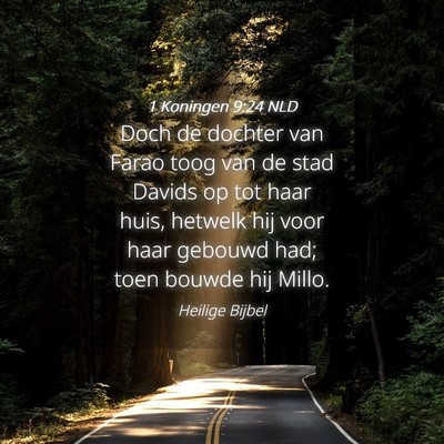 Picture 04 - 1 Koningen 9:24 NLD - Doch de dochter van Farao toog van de stad Davids - Bible Verse Picture