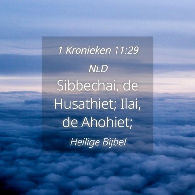 Picture 04 - 1 Kronieken 11:29 NLD - Sibbechai, de Husathiet; Ilai, de - Bible Verse Picture