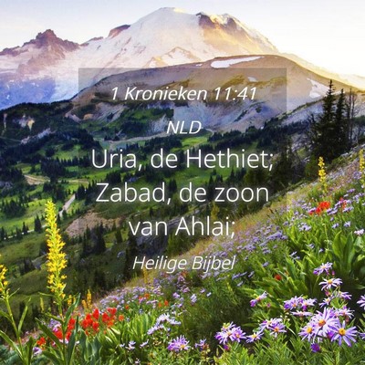 Picture 04 - 1 Kronieken 11:41 NLD - Uria, de Hethiet; Zabad, de zoon van - Bible Verse Picture