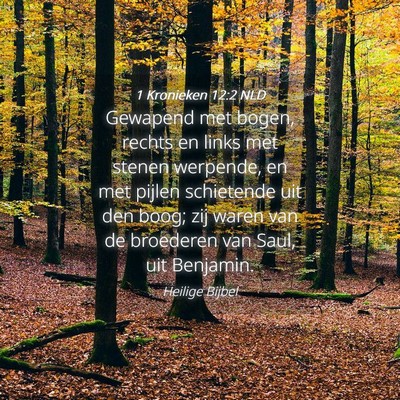 Picture 04 - 1 Kronieken 12:2 NLD - Gewapend met bogen, rechts en links met stenen - Bible Verse Picture