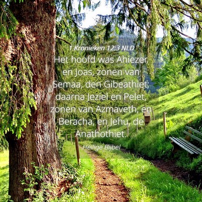 Picture 04 - 1 Kronieken 12:3 NLD - Het hoofd was Ahiezer, en Joas, zonen van Semaa, - Bible Verse Picture