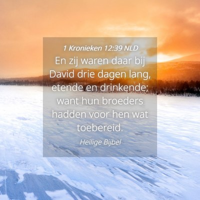 Picture 04 - 1 Kronieken 12:39 NLD - En zij waren daar bij David drie dagen lang, - Bible Verse Picture