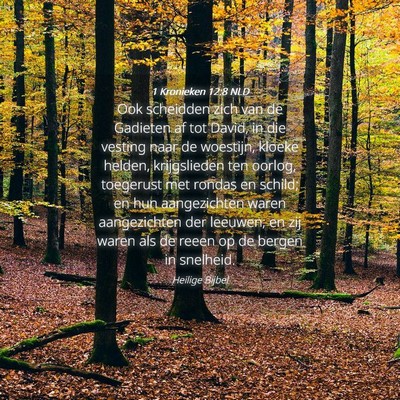 Picture 04 - 1 Kronieken 12:8 NLD - Ook scheidden zich van de Gadieten af tot David, - Bible Verse Picture