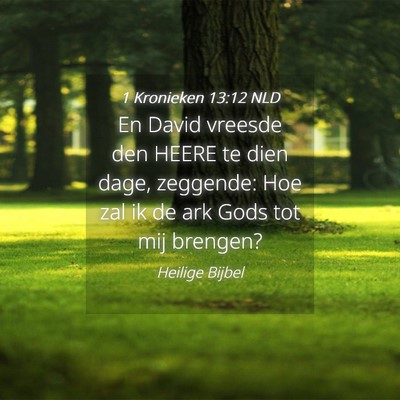 Picture 04 - 1 Kronieken 13:12 NLD - En David vreesde den HEERE te dien dage, - Bible Verse Picture