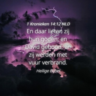 Picture 04 - 1 Kronieken 14:12 NLD - En daar lieten zij hun goden; en David gebood, en - Bible Verse Picture
