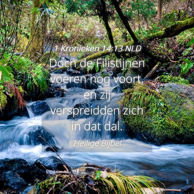 Picture 04 - 1 Kronieken 14:13 NLD - Doch de Filistijnen voeren nog voort, en zij - Bible Verse Picture