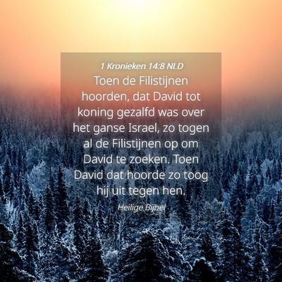 Picture 04 - 1 Kronieken 14:8 NLD - Toen de Filistijnen hoorden, dat David tot koning - Bible Verse Picture
