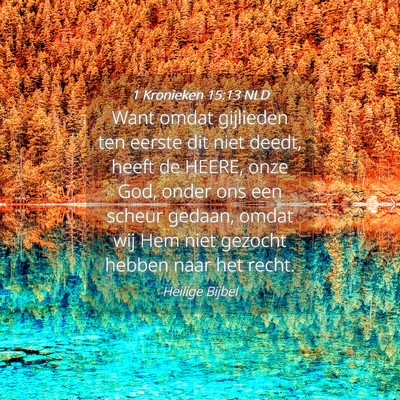 Picture 04 - 1 Kronieken 15:13 NLD - Want omdat gijlieden ten eerste dit niet deedt, - Bible Verse Picture