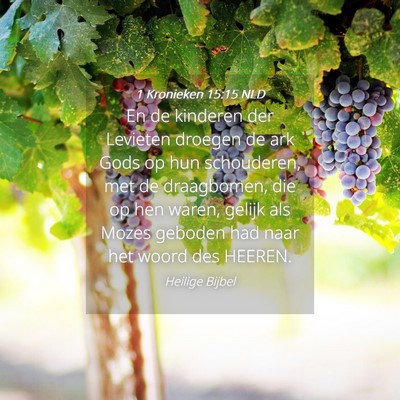 Picture 04 - 1 Kronieken 15:15 NLD - En de kinderen der Levieten droegen de ark Gods - Bible Verse Picture