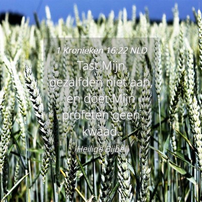 Picture 04 - 1 Kronieken 16:22 NLD - Tast Mijn gezalfden niet aan, en doet Mijn - Bible Verse Picture