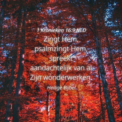 Picture 04 - 1 Kronieken 16:9 NLD - Zingt Hem, psalmzingt Hem, spreekt aandachtelijk - Bible Verse Picture
