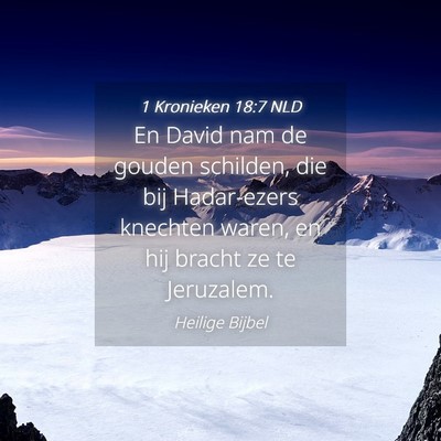 Picture 04 - 1 Kronieken 18:7 NLD - En David nam de gouden schilden, die bij - Bible Verse Picture