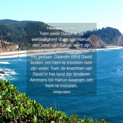 Picture 04 - 1 Kronieken 19:2 NLD - Toen zeide David: Ik zal weldadigheid doen aan - Bible Verse Picture