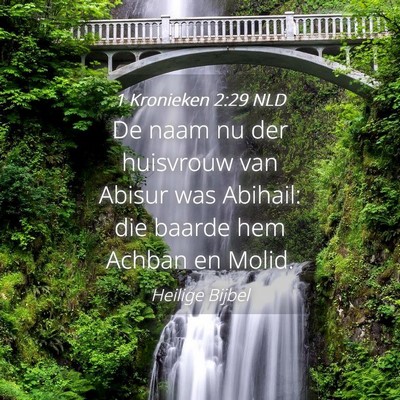 Picture 04 - 1 Kronieken 2:29 NLD - De naam nu der huisvrouw van Abisur was Abihail: - Bible Verse Picture