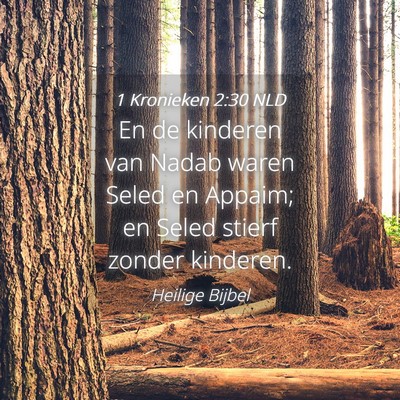 Picture 04 - 1 Kronieken 2:30 NLD - En de kinderen van Nadab waren Seled en Appaim; - Bible Verse Picture