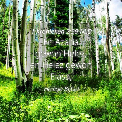 Picture 04 - 1 Kronieken 2:39 NLD - En Azaria gewon Helez, en Helez gewon - Bible Verse Picture