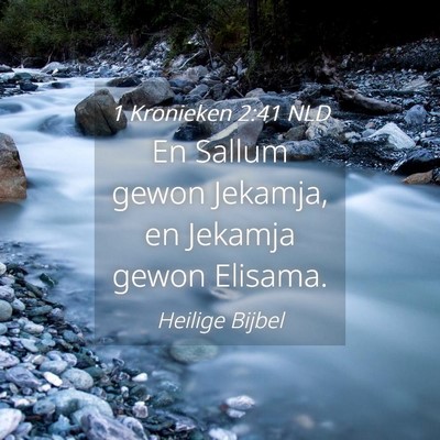 Picture 04 - 1 Kronieken 2:41 NLD - En Sallum gewon Jekamja, en Jekamja gewon - Bible Verse Picture