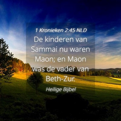 Picture 04 - 1 Kronieken 2:45 NLD - De kinderen van Sammai nu waren Maon; en Maon was - Bible Verse Picture