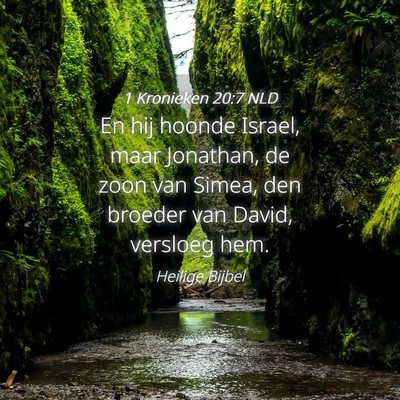 Picture 04 - 1 Kronieken 20:7 NLD - En hij hoonde Israel, maar Jonathan, de zoon van - Bible Verse Picture