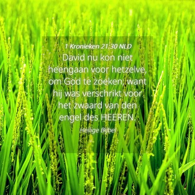 Picture 04 - 1 Kronieken 21:30 NLD - David nu kon niet heengaan voor hetzelve, om God - Bible Verse Picture