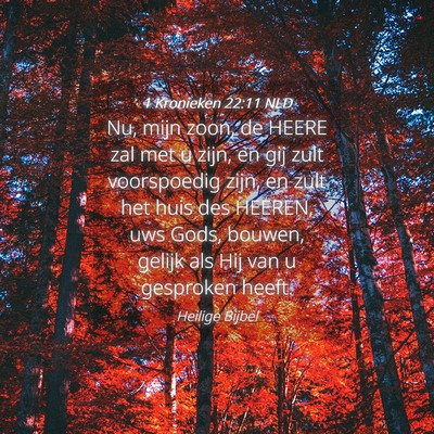 Picture 04 - 1 Kronieken 22:11 NLD - Nu, mijn zoon, de HEERE zal met u zijn, en gij - Bible Verse Picture