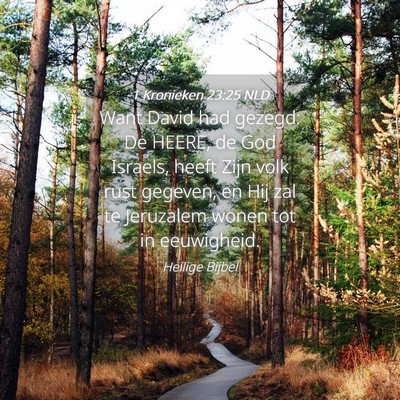 Picture 04 - 1 Kronieken 23:25 NLD - Want David had gezegd: De HEERE, de God Israels, - Bible Verse Picture