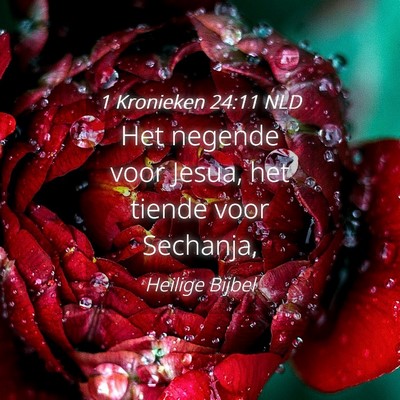 Picture 04 - 1 Kronieken 24:11 NLD - Het negende voor Jesua, het tiende voor - Bible Verse Picture