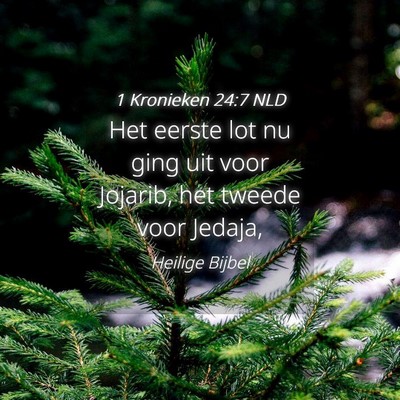 Picture 04 - 1 Kronieken 24:7 NLD - Het eerste lot nu ging uit voor Jojarib, het - Bible Verse Picture