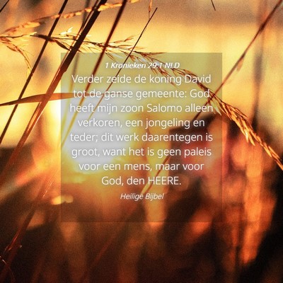 Picture 04 - 1 Kronieken 29:1 NLD - Verder zeide de koning David tot de ganse - Bible Verse Picture