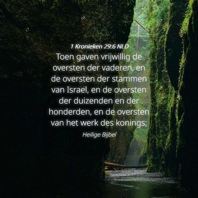 Picture 04 - 1 Kronieken 29:6 NLD - Toen gaven vrijwillig de oversten der vaderen, en - Bible Verse Picture