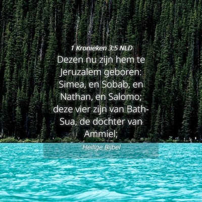 Picture 04 - 1 Kronieken 3:5 NLD - Dezen nu zijn hem te Jeruzalem geboren: Simea, en - Bible Verse Picture