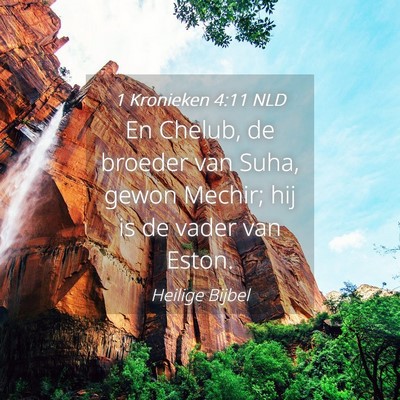 Picture 04 - 1 Kronieken 4:11 NLD - En Chelub, de broeder van Suha, gewon Mechir; hij - Bible Verse Picture