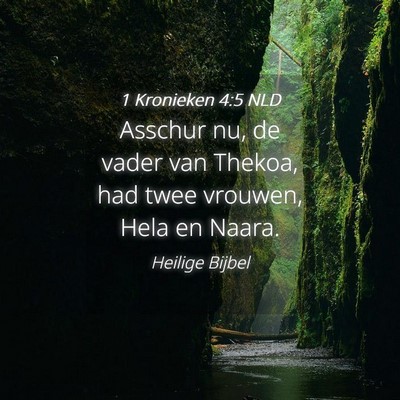 Picture 04 - 1 Kronieken 4:5 NLD - Asschur nu, de vader van Thekoa, had twee - Bible Verse Picture