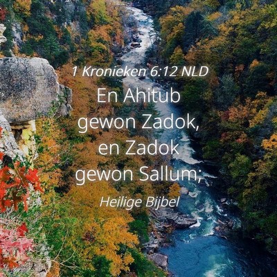 Picture 04 - 1 Kronieken 6:12 NLD - En Ahitub gewon Zadok, en Zadok gewon - Bible Verse Picture