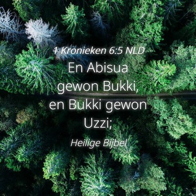 Picture 04 - 1 Kronieken 6:5 NLD - En Abisua gewon Bukki, en Bukki gewon - Bible Verse Picture
