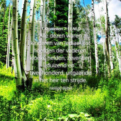 Picture 04 - 1 Kronieken 7:11 NLD - Alle dezen waren kinderen van Jediael, tot - Bible Verse Picture